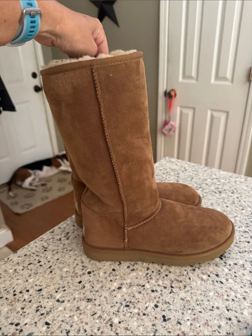 UGG Tall Suede Winter Boots in Chestnut Brown